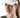 CEP The Run Visor Unisex White - Compression Socks Hong Kong